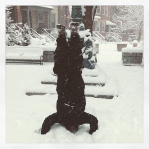 Head Stand in the Snow
